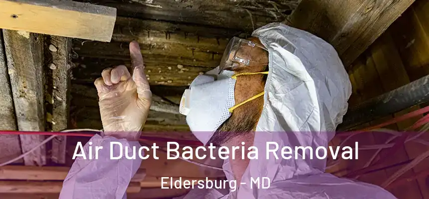  Air Duct Bacteria Removal Eldersburg - MD