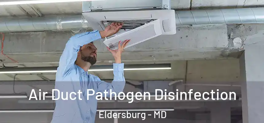  Air Duct Pathogen Disinfection Eldersburg - MD