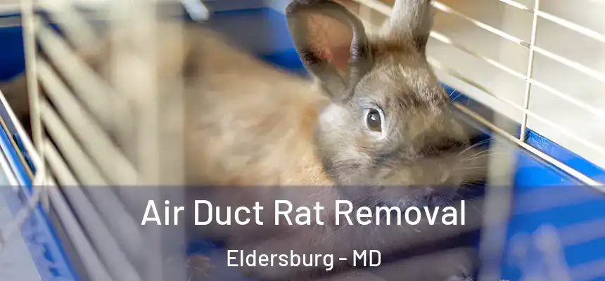 Air Duct Rat Removal Eldersburg - MD