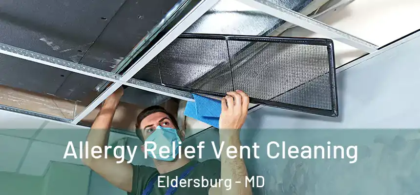  Allergy Relief Vent Cleaning Eldersburg - MD