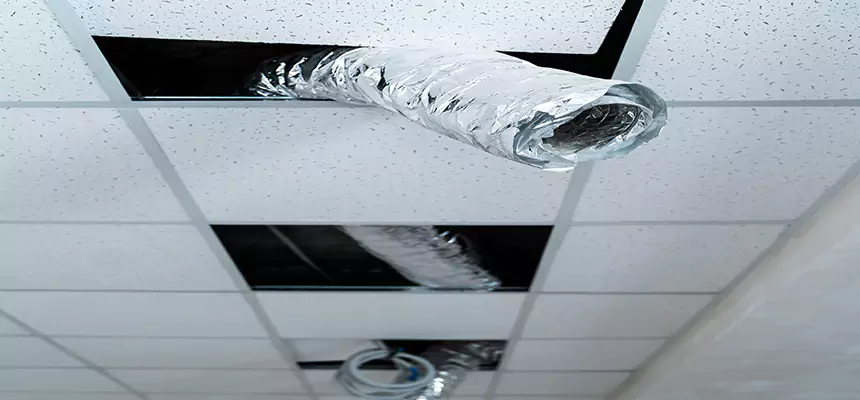 Our Air Duct Pet Hair Removal Services in Eldersburg, MD