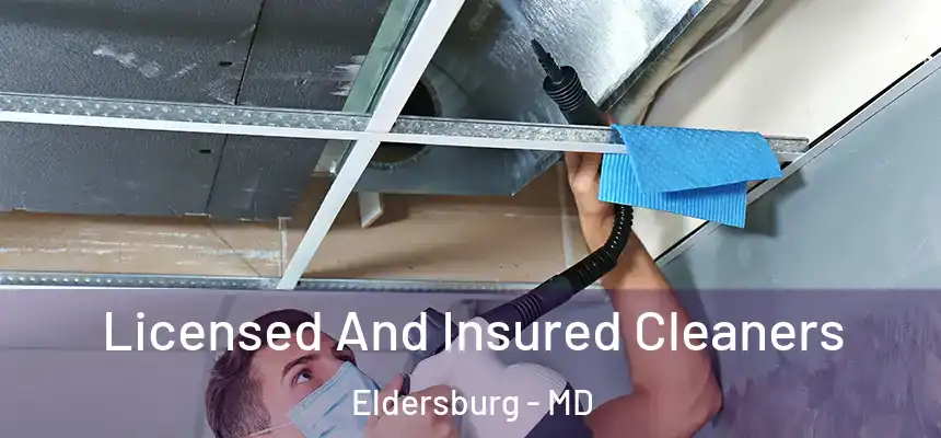 Licensed And Insured Cleaners Eldersburg - MD