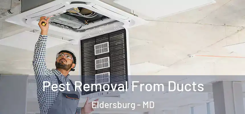 Pest Removal From Ducts Eldersburg - MD