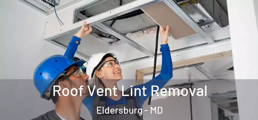 Roof Vent Lint Removal Eldersburg - MD