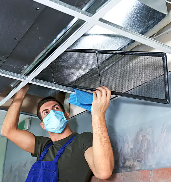 About Air Duct Bacteria Removal in Eldersburg