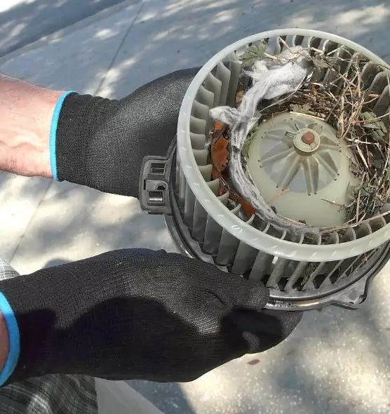 About Air Duct Mice Removal in Eldersburg, MD