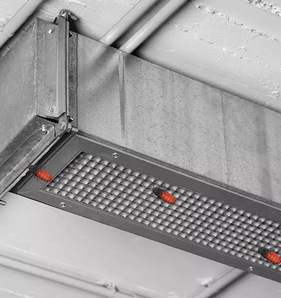Affordable Insect Removal from Air Ducts in Eldersburg, MD