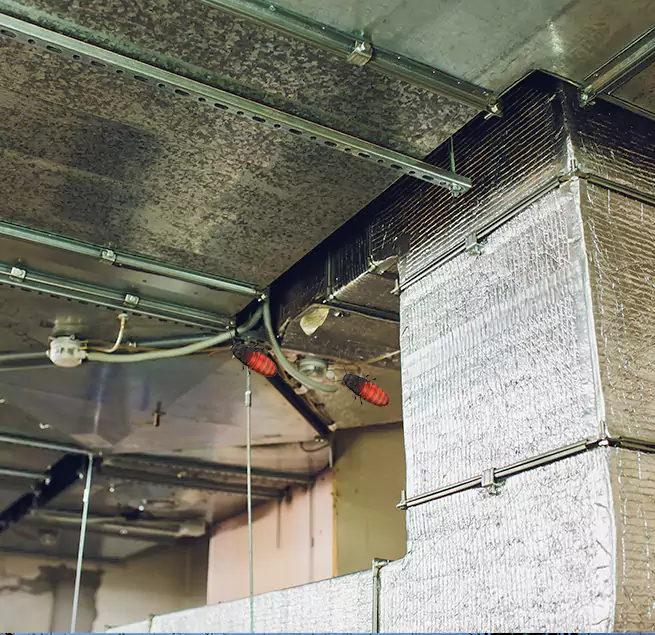 Why Homeowners & Businesses Trust Us Eldersburg, MD?