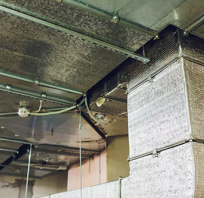 Why Homeowners & Businesses Trust Us in Eldersburg, MD?