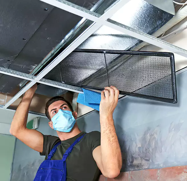 Why Homeowners Businesses Trust Us in Eldersburg, MD